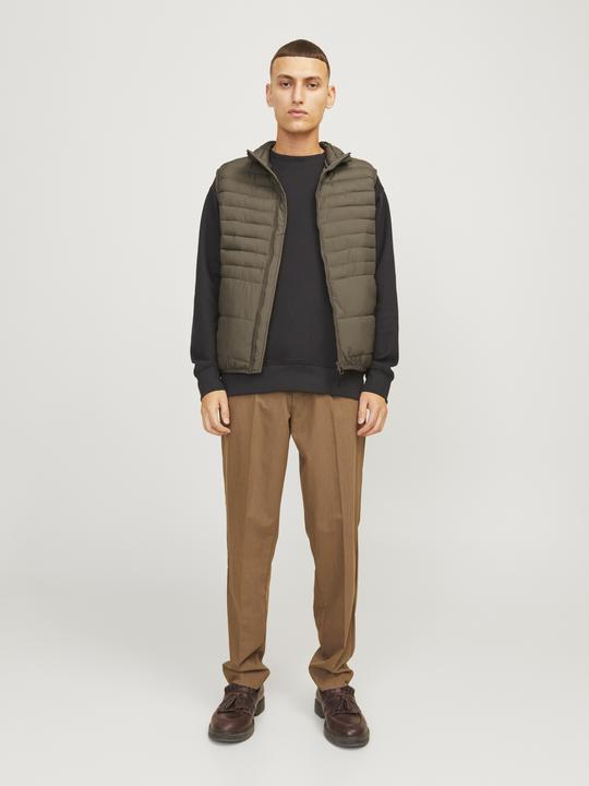Actual product image Jack & Jones Jjestate Packable Bw Collar Noos (L)