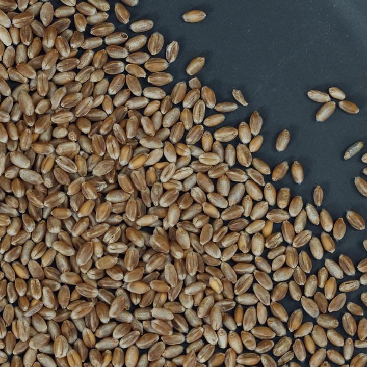 Actual product image Altbachmühle Organic whole wheat (1000 g)