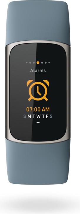 Produktbild Fitbit Charge 5 (26 mm)