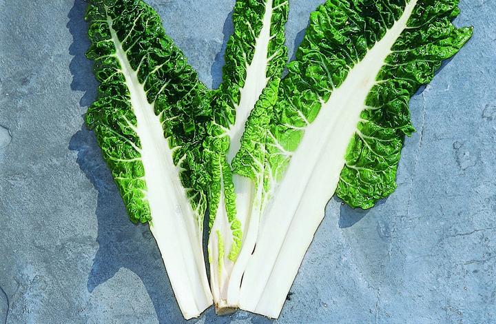 Actual product image Zollinger Bio Seedling, chard, Geneva open field (Vegetable seeds)