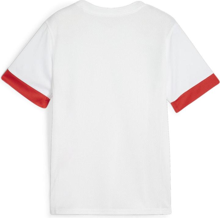 Actual product image Puma teamGOAL Matchday Jersey jr (128)