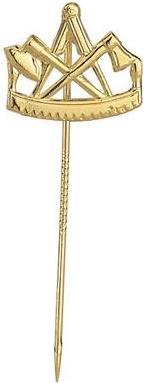 Immagine prodotto FHB Pin oro 894