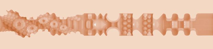 Productafbeelding Fleshlight Meisjes - Mia Malkova LVL UP