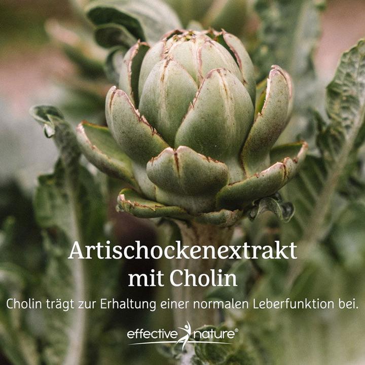 Produktbild Effective Nature Artischocken Extrakt mit Cholin (90 Stück, Kapseln, 90 g)