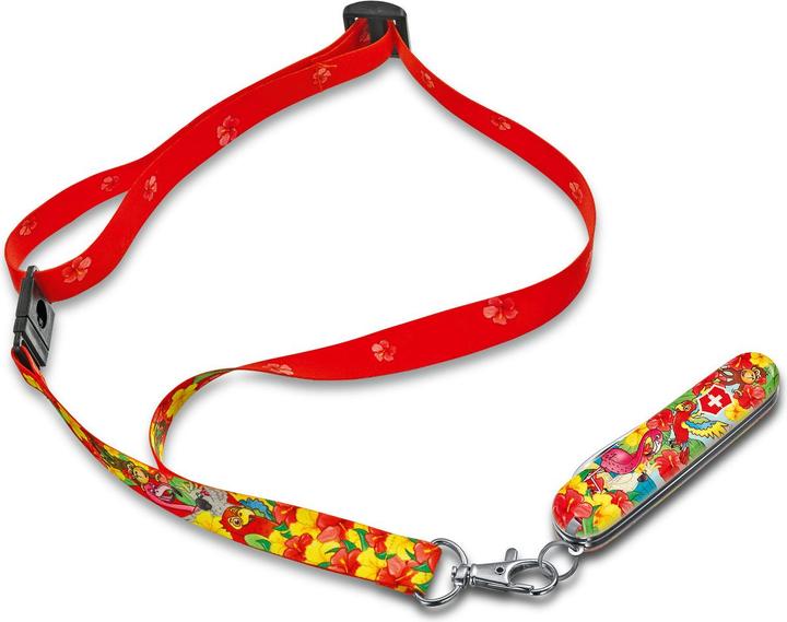 Image du produit Victorinox Couteau de poche