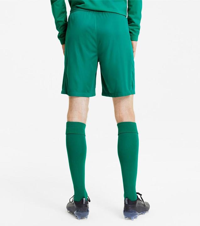 Image du produit Puma short en maille teamFINAL 21-704257 (M)