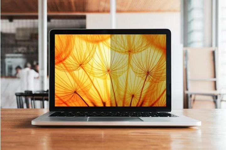 Actual product image 3M BP123C3E Privacy Screen 3:2 12,3 Bright Screen Fullb.Laptop (12.28", 3 : 2)