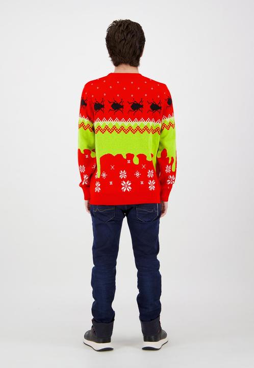 Actual product image Shrek Christmas (L)