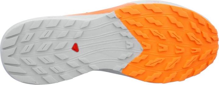 Image du produit Salomon Sense Ride 5 (42)