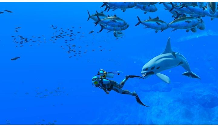 Image du produit Nintendo Endless Ocean Luminous (Switch, DE, FR, IT)