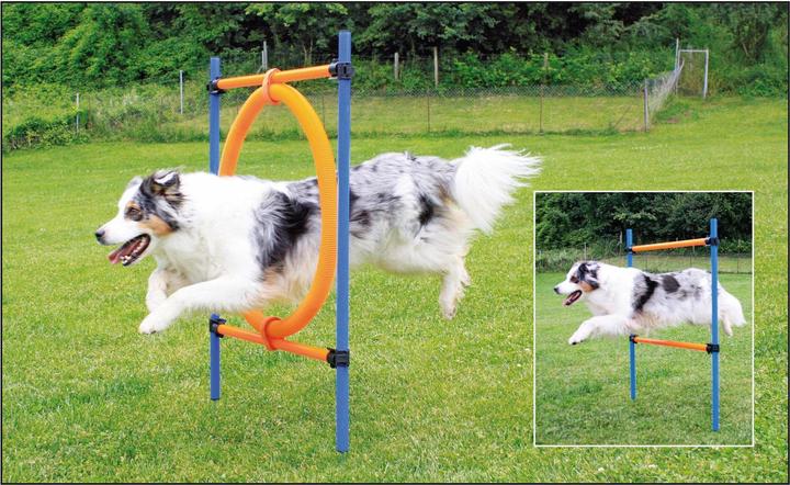 Produktbild Swisspet Sprungring (One Size, Agility)