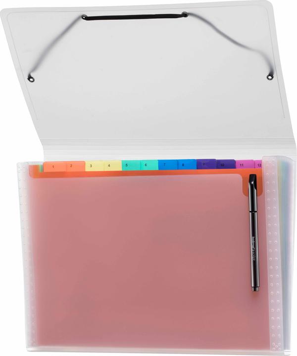 Kolma Compartment folder Easy A4 medium 12 tabs rainbow (A4, 1 x)