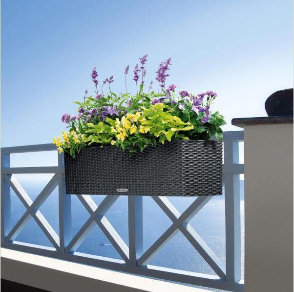 Image du produit Lechuza Chalet Balconera (19 cm)