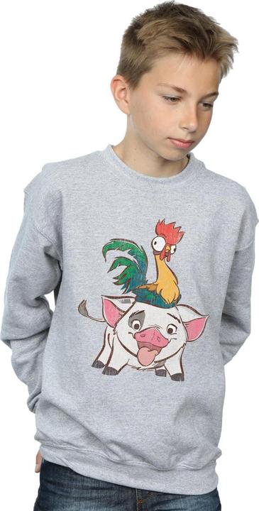 Actual product image Disney Boys Moana Hei Hei And Pua Sweatshirt (140, 146)