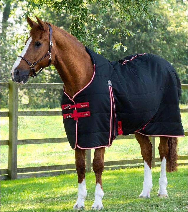 Produktbild Premier Equine Lucanta 200 g (198 cm)