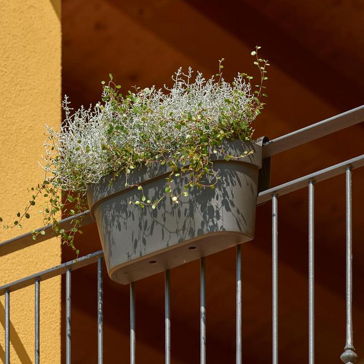 Actual product image Euro3plast Planter box (21 cm)