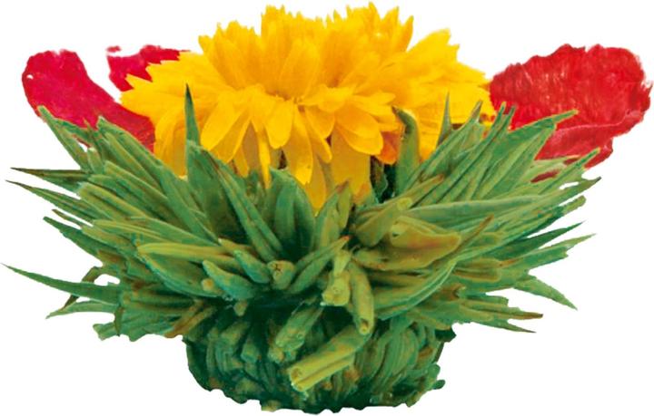 Image du produit Creano Le thé en fleur (0.50 l)