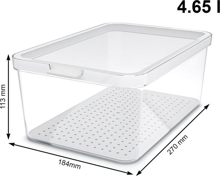 Immagine prodotto Rotho Organizzatore per frigorifero Cauma 4,65l