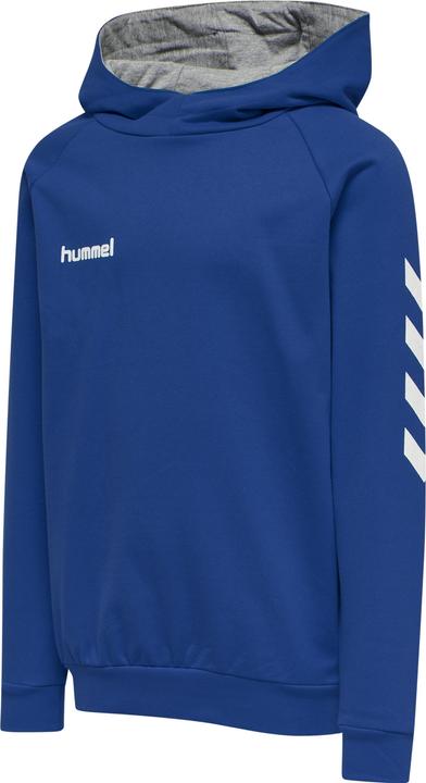 hummel Go Kids Cotton Hoodie