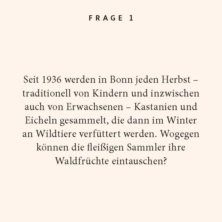 Actual product image Steingiesser:Bonn quiz (German)