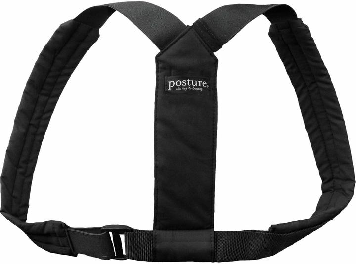 Actual product image Swedish Posture Flexi