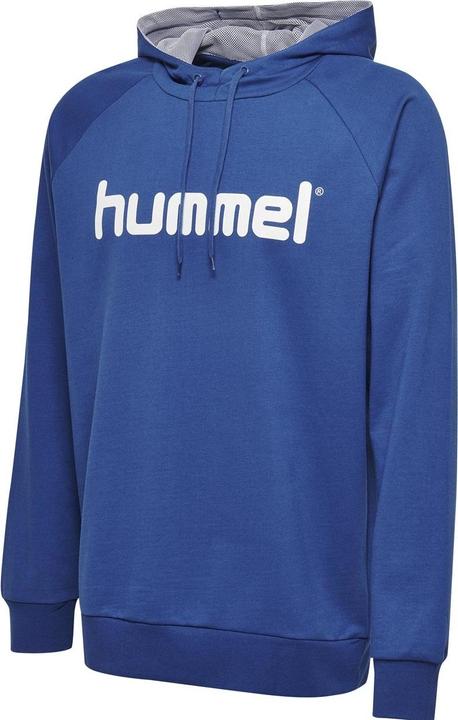 Actual product image hummel Go Cotton Logo Hoodie (S)