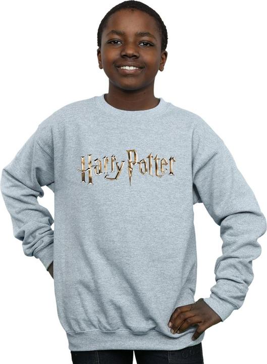 Actual product image Boys Full Colour Logo Sweatshirt (152, 158)
