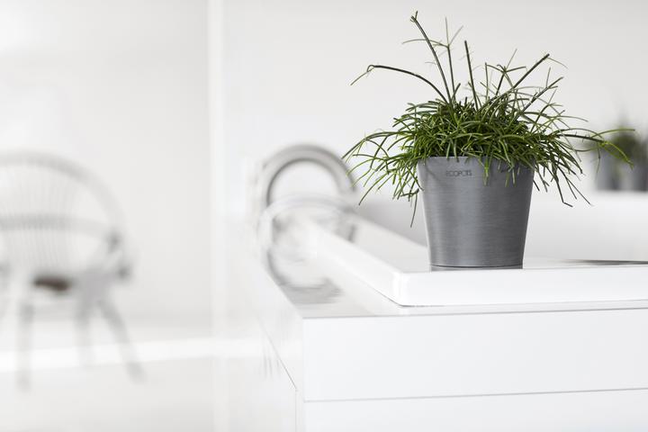 Actual product image Ecopots Amsterdam Mini (13 cm)