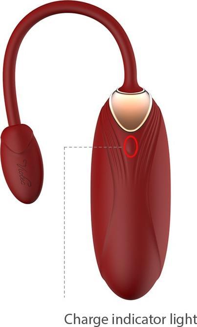 Image du produit Viotec Oliver Pro Vibrateur portable avec contrôle par application