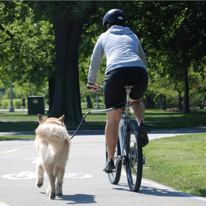 Actual product image Pet Ego Vincenzo (Dog, Pushbike)