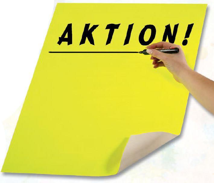 Actual product image Folia /m² carton 10 sheets /m² (380 g/m², 10 x)
