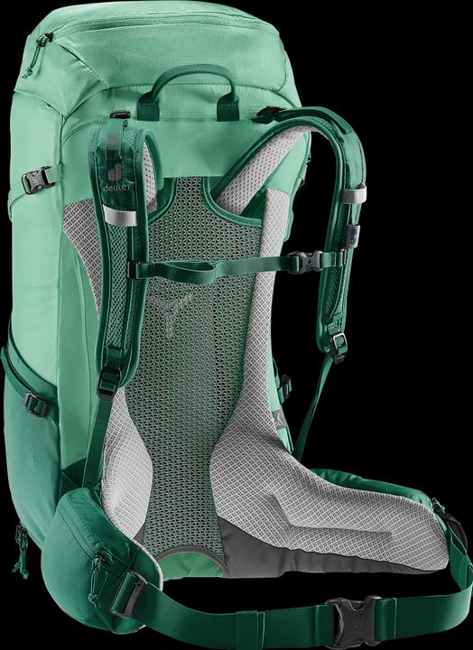 Actual product image Deuter Futura 30 (30 l)
