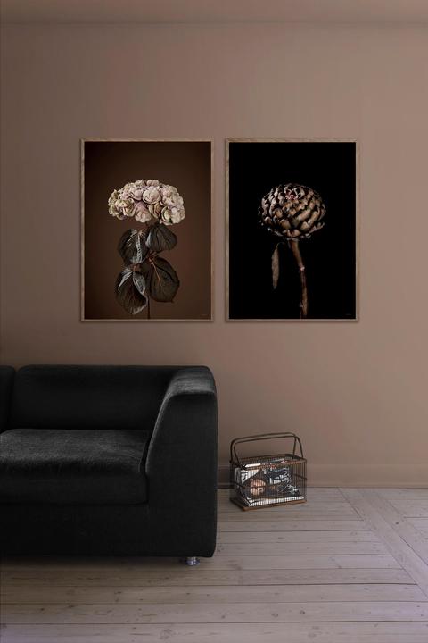 Produktbild ChiCura Majestic (50 x 70 cm)