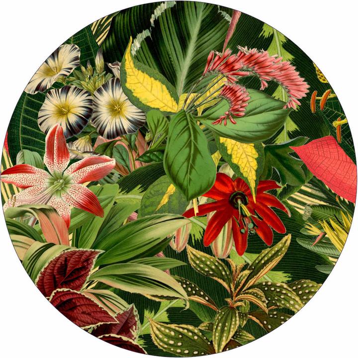 Actual product image Moooi Herbarium Of Extinct Plants carpet (Round)
