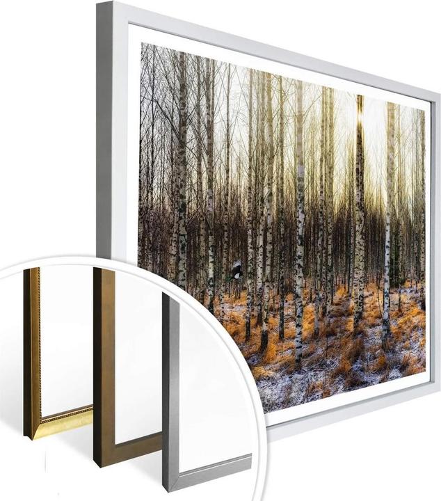 Immagine prodotto Trenddeko Il sole nella foresta di betulle (30 x 24 cm)