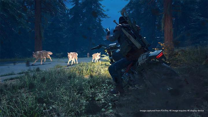 Produktbild Sony Days Gone (PS4, EN, IT)