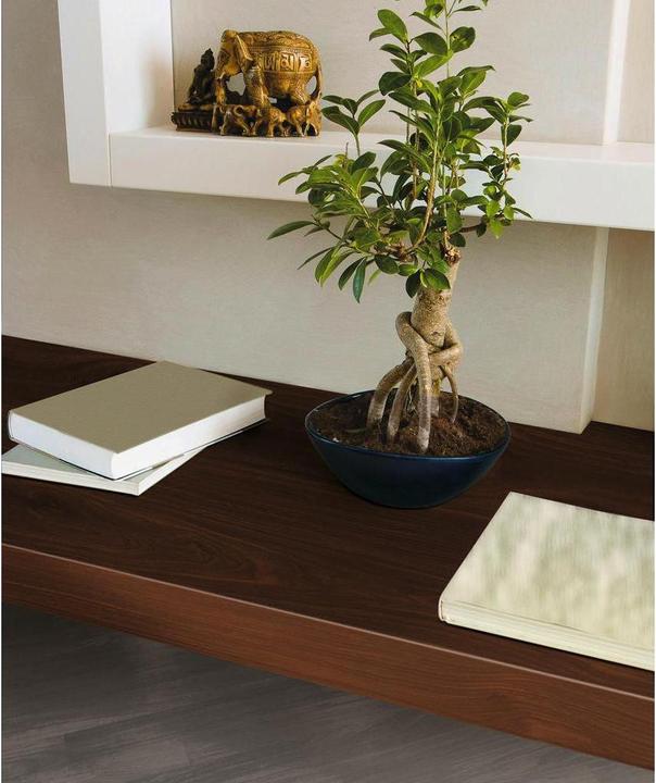 Produktbild D-C-Fix Designfolie (67.5 x 200 cm)