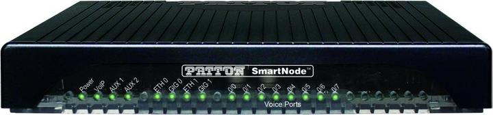 Image du produit Patton Passerelle VoIP SmartNode 4141, 8FXO, 8 ports VoIP 2x Gig Ethernet