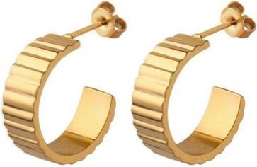 Produktbild JVD - Timeless gold plated earrings SSSE0115XJ2GO00
