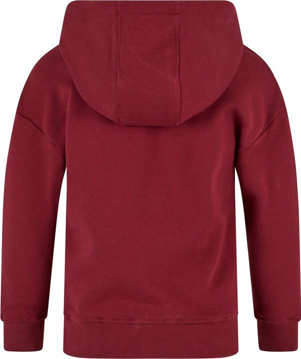 Image du produit Urban Classics Filles Hoody organique (110)