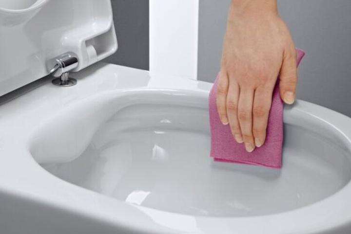 Actual product image Laufen PRO UNIVERSAL WC seat with cover with soft-closing mechanism pergamon