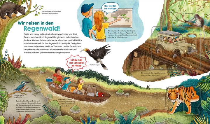 Produktbild Tessloff WAS IST WAS Junior Band 46 Erforsche den Regenwald! (Deutsch, Dr. Sabine Steghaus-Kovac, Alexandra Helm, 2025)