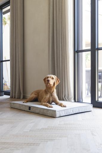 Image du produit Designed by Lotte Coussin pour cage Orthopaed Ribbed (Chien)
