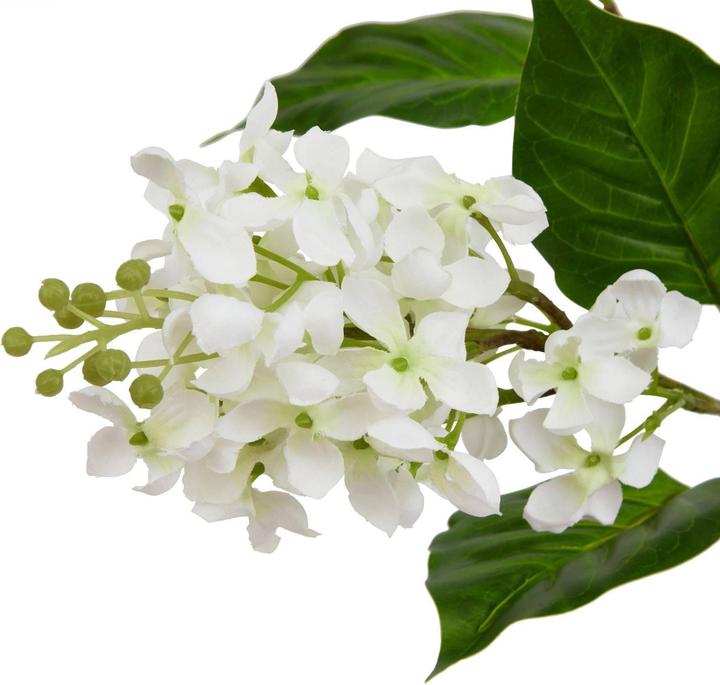 Actual product image Hill Interiors The Natural Garden Collection White Lilac Artificial Flower (30 cm)