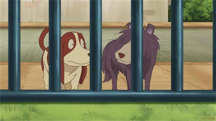 Produktbild Detektei Layton - Katrielles rätselhafte Fälle: Volume 5 (E.41-50) (2 BRs) (Blu-ray, Deutsch, Japanisch)