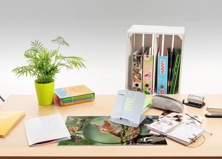 Image du produit HERMA Support de lecture (2,5 x 23,5 x 20,5 cm)