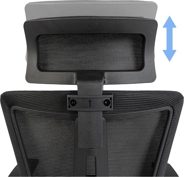 Image du produit Contini Bürostuhl ErgoFlex schwarz