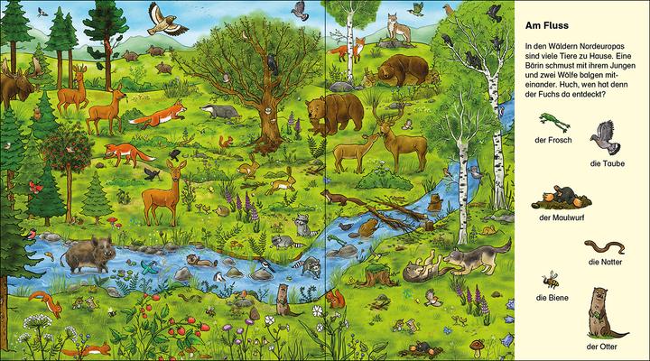 Produktbild Suche und finde! - Wilde Tiere (Deutsch, Loewe Meine allerersten Bücher, Diana Kohne, Tina Frankenstein-Börlin, 2023)