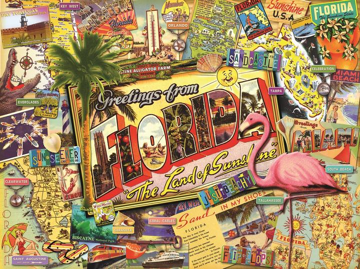 Produktbild Sunsout Puzzle 1000 pieces Ward Thacker Studio - Florida (1000 Teile)