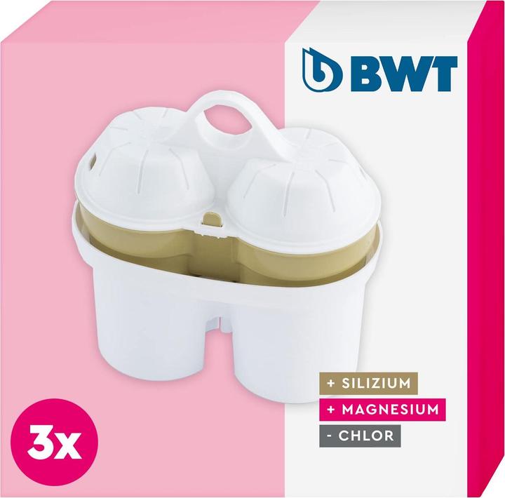 Actual product image BWT Filter cartridges (3 x)